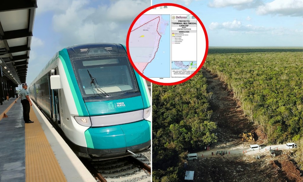 ¿Cuánto talarán de selva para el Tren Maya de carga Terminal Multimodal Cancún?Conoce su impacto ambiental y cómo participar en la consulta