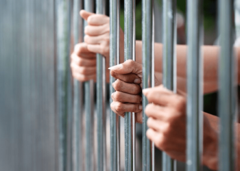 Desmantelan red de pedofilia que operaba en las redes sociales, en El Salvador