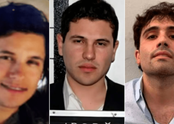 Estados Unidos sanciona a Los Chapitos; ofrece 10 millones de dólares por sus líderes