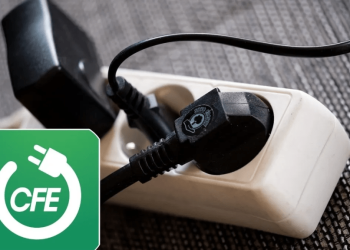 Evita que se dispare tu recibo de luz: Profeco alerta por “vampiros eléctricos” y cómo eliminarlos