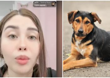 Exfuncionaria de Guadalajara confesó haber sacrificado un perro en ritual