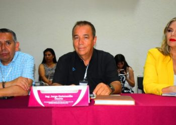 Fortalece SIPINNA acciones de coordinación interinstitucional contra el trabajo infantil: SIPINNA