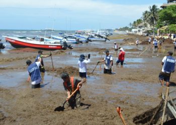 Gobierno de Estefanía Mercado, en coordinación con el Estado y la Federación, retira más de 8 mil toneladas de sargazo de las playas de Playa del Carmen