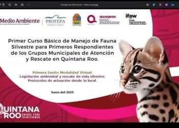 Gobierno de Estefanía Mercado protege la fauna silvestre con atención especializada