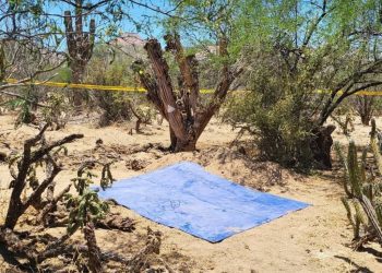 Hallan cuatro fosas clandestinas en La Paz, Baja California Sur