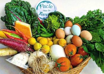 Huertos en CDMX para comprar verduras frescas