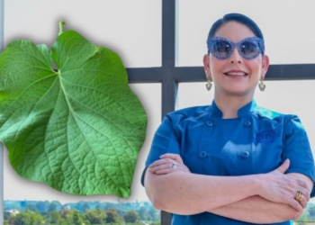 HOJA SANTA EN MASTER CHERF