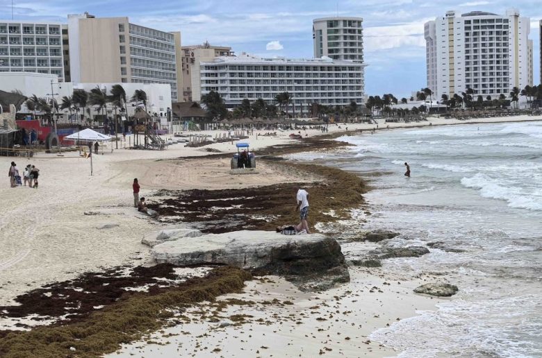 Grandes cantidades de sargazo han llegado a playas de Quintana Roo (Foto de El Universal)