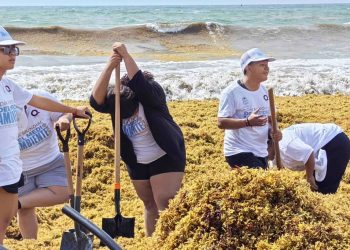 Instalarán mesa de emergencia ante llegada masiva de sargazo a Quintana Roo