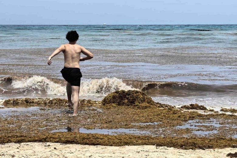 Grandes cantidades de sargazo han llegado a playas de Quintana Roo (Foto de El Universal)