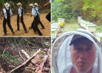 La dulce muerte: Menonitas en la Península de Yucatán; “ecocidio” acaba con abejas, selva y biodiversidad