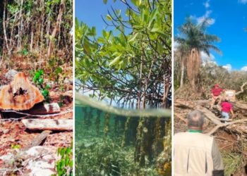 La Península de Yucatán perderá 20% de humedad en próximos años: Semarnat