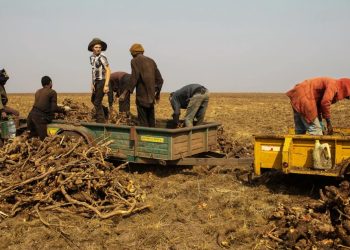 Menonitas de México se asociaron con una empresa de diamantes en África