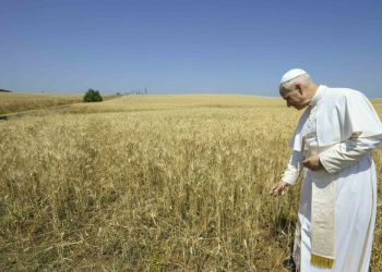 Papa León XIV aprueba decretos para beatificar 124 andaluces asesinados en la Guerra civil