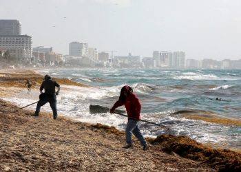 Playa sin sargazo en Quintana Roo: esta es la isla donde casi no hay
