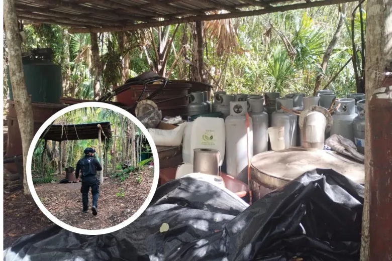 Autoridades realizaron un operativo conjunto en una zona selvática de Felipe Carrillo Puerto, Quintana Roo.