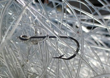 Prevén cambios en la pesca mundial por el ‘reverdecimiento’ del océano en los polos