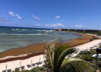 sargazo en Tulum, sargazo Quintana Roo, Consejo Hotelero del Caribe Mexicano