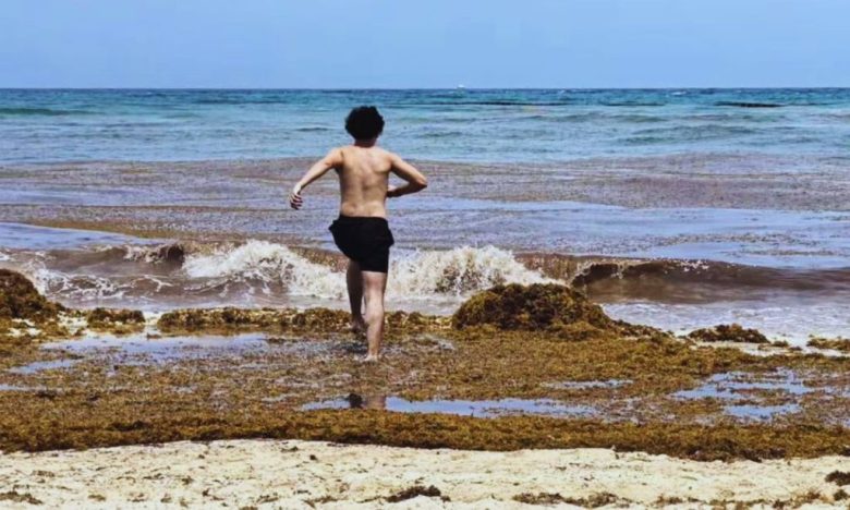 sargazo-en-estas-playas-de-quintana-roo-en-el-caribe-mexicano