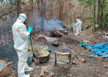 Semar desmantela narcolaboratorio Quintana Roo: esto hallaron