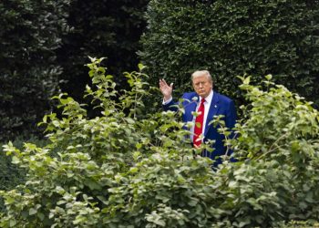 Trump ordena pavimentar el emblemático jardín de rosas de la Casa Blanca