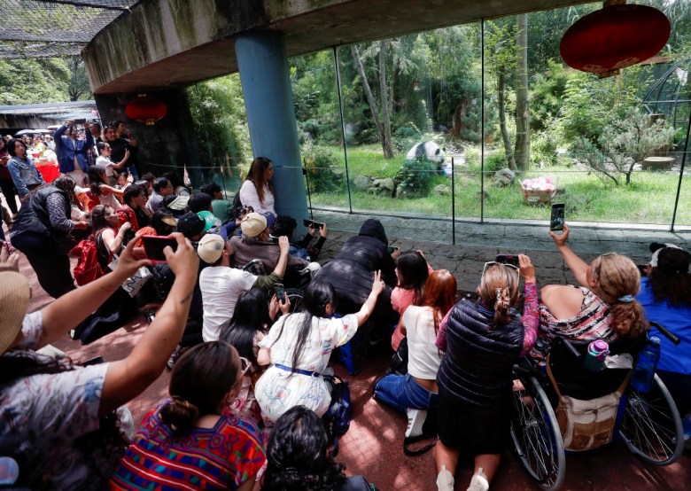 Representantes de México y China, encabezados por la secretaria de Medio Ambiente, Julia Ávarez-Icaza (tercera desde la izquierda), participaron ayer en las celebraciones por el cumpleaños 35 de la panda Xin Xin, en el Zoológico de Chapultepec de CDMX