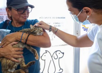 IMPULSA ANA PATY PERALTA CAMPAÑA DE ESTERILIZACIÓN GRATUITA DE PERROS Y GATOS