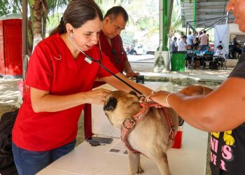 CELEBRA ANA PATY PERALTA ACCIONES ESTATALES POR EL BIENESTAR ANIMAL