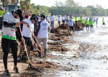 «Sargazo masivo en Playa del Carmen: retiran más de 19 mil toneladas»