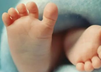 «Bebés con ADN modificado: esperanza contra las enfermedades mitocondriales»