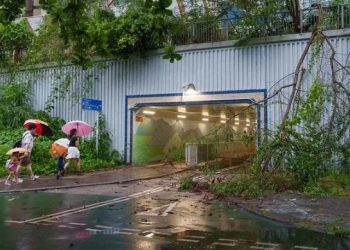 «Tifón Wipha causa estragos en Zhuhai»