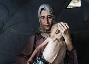 «Hambruna en Gaza….más de 100 organizaciones denuncian una crisis humanitaria sin precedentes»
