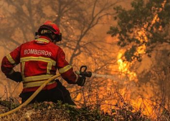 VIDEO «Incendios en Portugal movilizan a más de 3,600 bomberos ante ola de calor extremo»