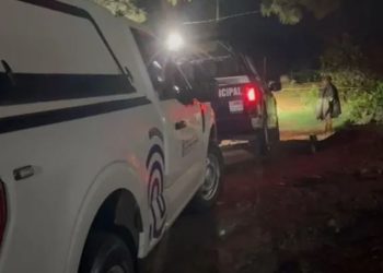 Hallan tres cuerpos en Zapopan: perro revela macabro hallazgo