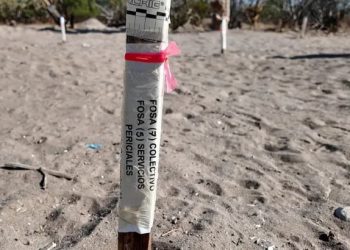 La Paz: epicentro de un «cementerio clandestino» vinculado al Cártel de Sinaloa