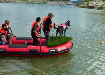 🐾 Héroes de cuatro patas: Erik, Bata y los binomios caninos de Nuevo León cruzan fronteras para rescatar en Texas