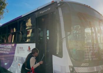 Chofer de la Ruta Violeta es sorprendido viendo contenido para adultos en Tijuana