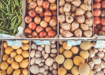 Colombia en la FAO un regreso clave para la reforma agraria y la seguridad alimentaria