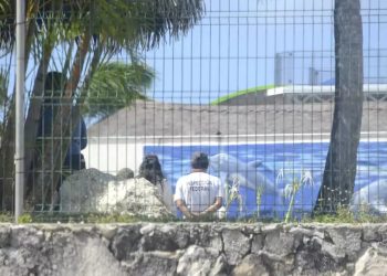 Delfinarios en Quintana Roo deberán ajustarse a nueva legislación ambiental