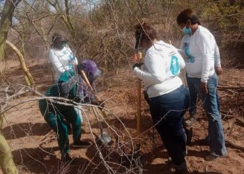 El Estado de México conserva el primer lugar de desapariciones en lo que va del año 2