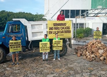 Greenpeace denuncia a Semarnat por autorizar CEMEX y Tren Maya Carga la devastación en la Selva en la peninsula