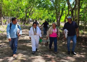 abejas Playa del Carmen, campaña contra varroasis, salud apícola, plaga de varroa