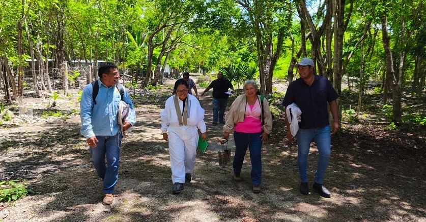 abejas Playa del Carmen, campaña contra varroasis, salud apícola, plaga de varroa
