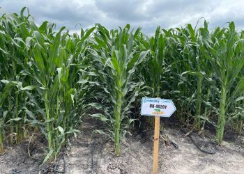 FGR Guanajuato, Parque Xonotli, toma clandestina Guanajuato, huachicol Guanajuato, robo de combustible