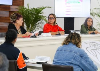 Matriz de Corresponsabilidad Playa del Carmen, violencia de género Playa del Carmen