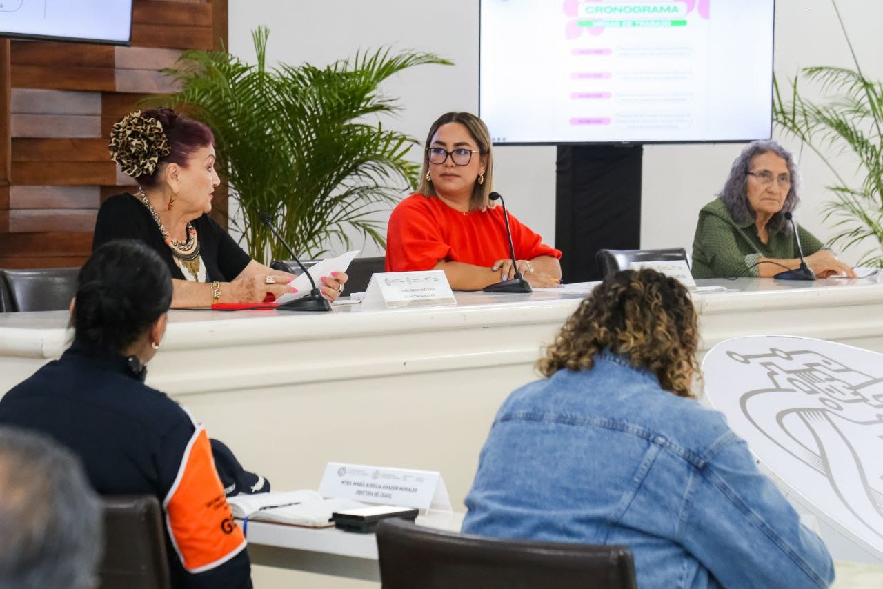 Matriz de Corresponsabilidad Playa del Carmen, violencia de género Playa del Carmen