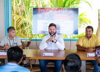 Feria de la Miel 2025, Lágrimas de Oro Maya, apicultura en Quintana Roo, producción de miel Playa del Carmen