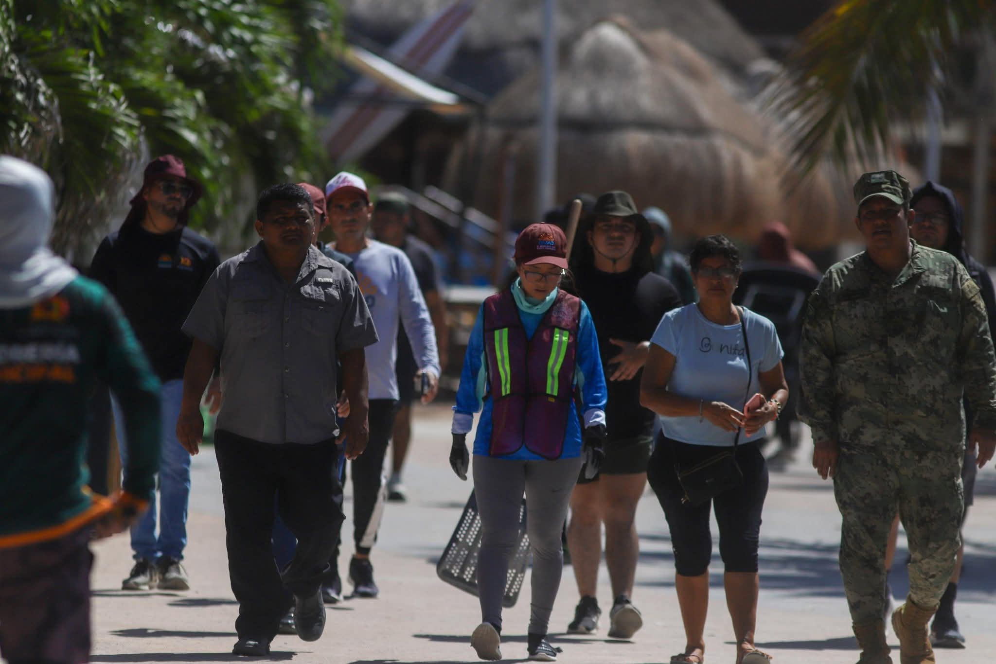 sargazo Mahahual 2025, limpieza de playas en Quintana Roo, toneladas de sargazo, sargazo Othón P. Blanco
