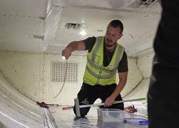 Serpiente obliga a retrasar un avión por dos horas en Australia