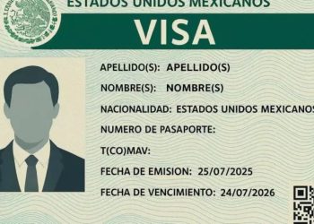 Todo lo que debes saber sobre la nueva visa electrónica Requisitos y nacionalidades que deben tramitarla